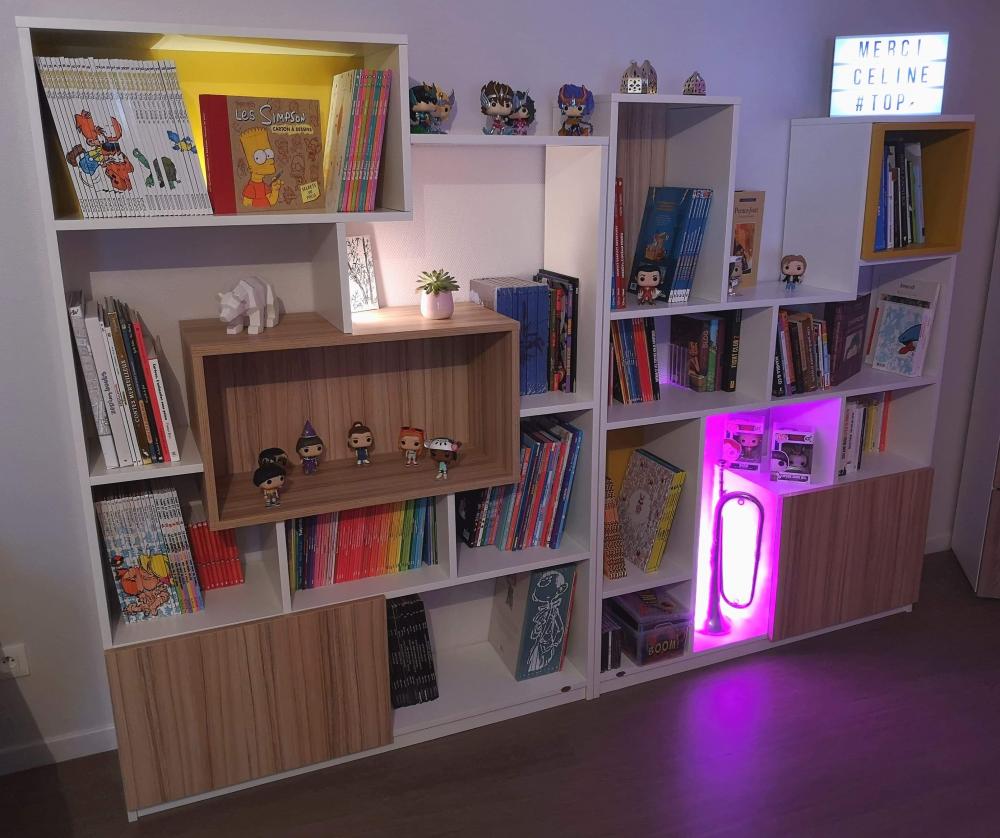 Bibliothèques - Les Rangements de Céline